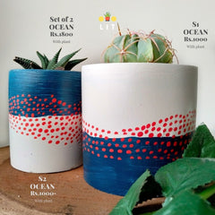 Decor - Ocean