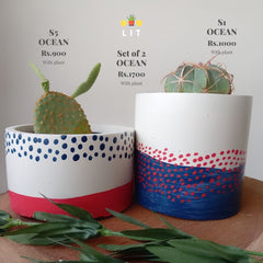 Decor - Ocean